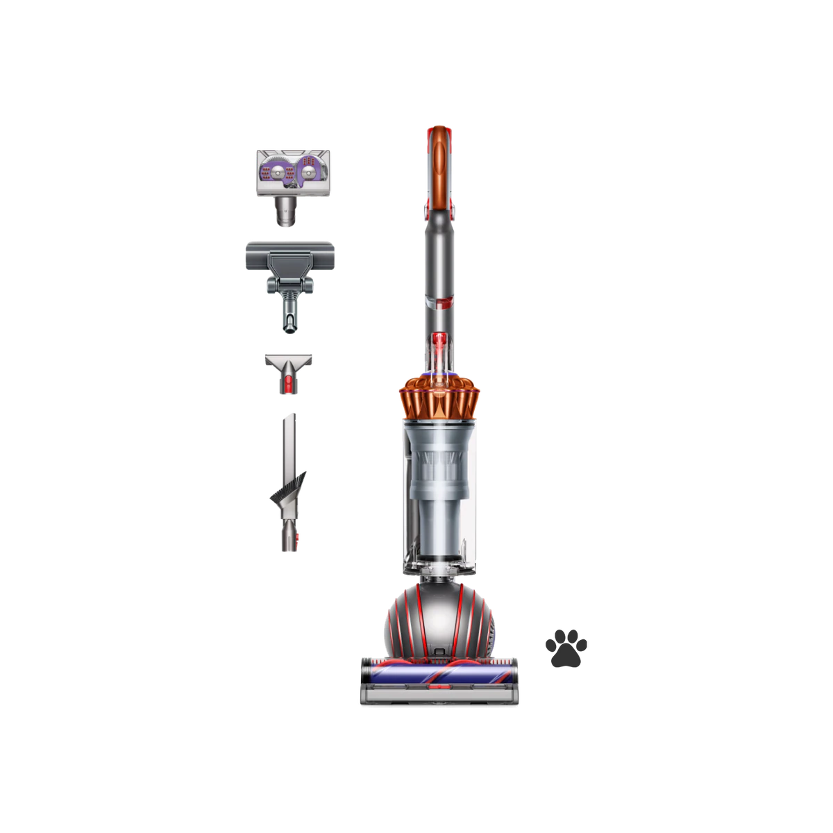 Dyson Ball Animal Multi